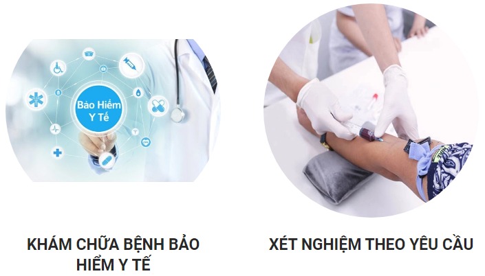 V. Dịch vụ cung cấp